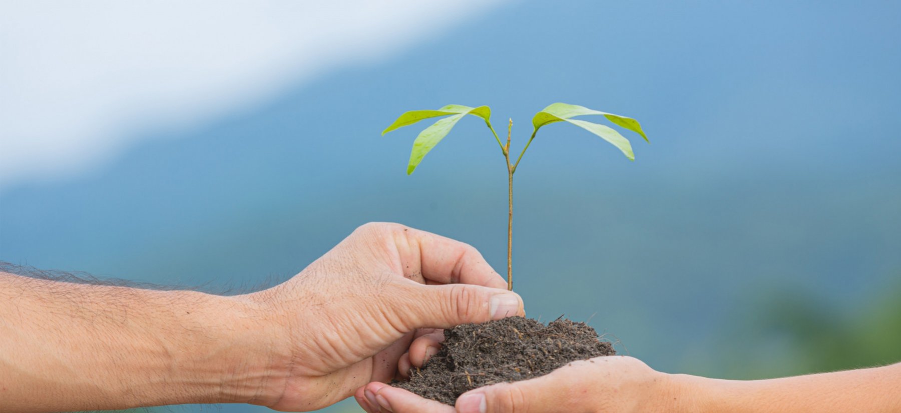 Soluções com baixo impacto ambiental